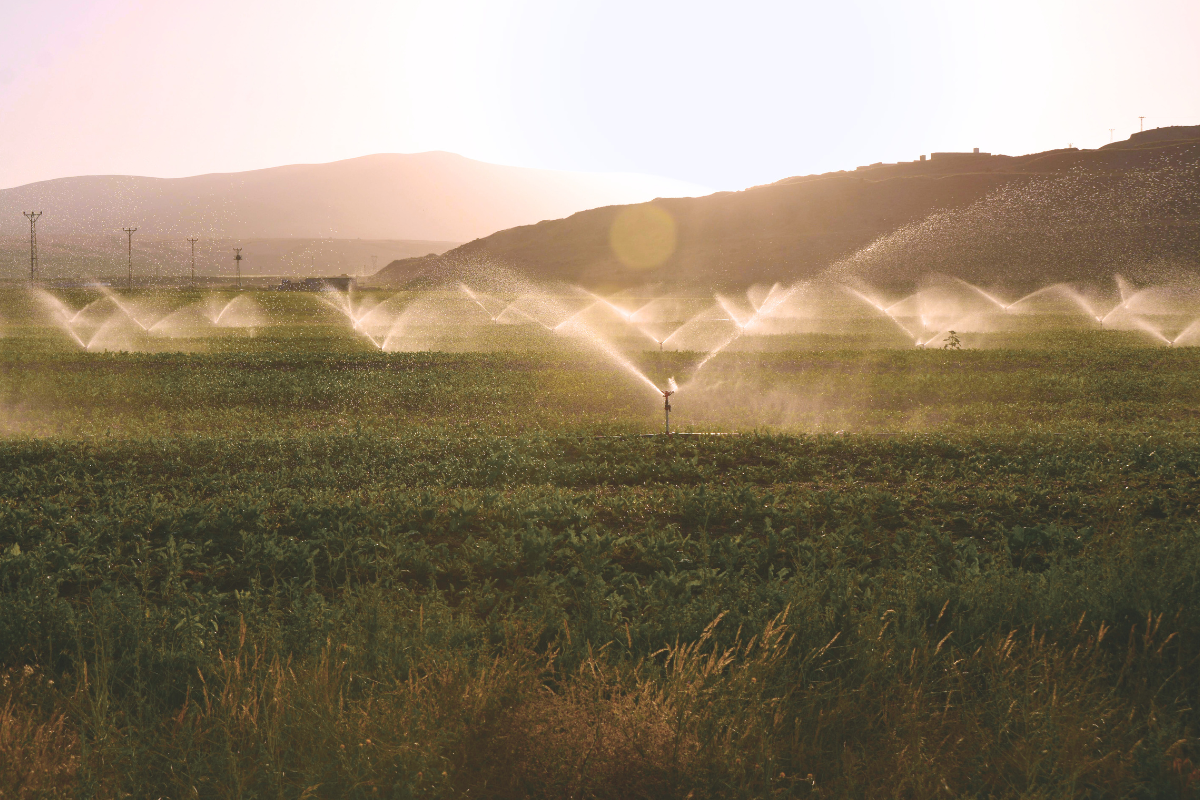 Irrigation system.
